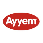 Aynes Gıda Logo