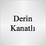 Derin Kanatlı Logo