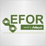 Efor Logo