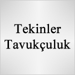 Tekinler Tavukçuluk Logo