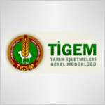 Tigem Logo